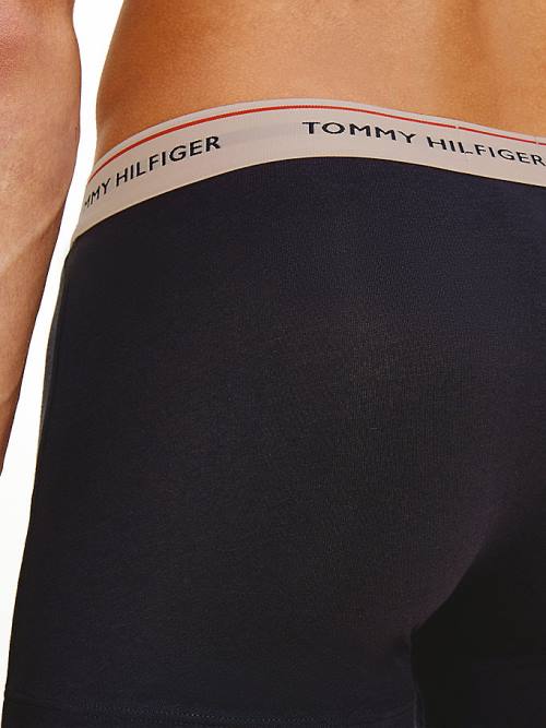 Tommy Hilfiger 3-Pack Premium Essential Trunks Moški Spodnje Perilo Vijolična | TH291DKZ