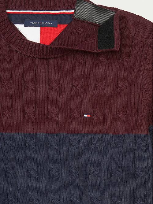 Tommy Hilfiger Adaptive Colour-Blocked Crew Neck Jumper Moški Puloverji Rdeča | TH147ZRE