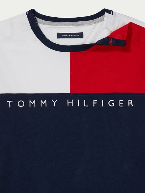 Tommy Hilfiger Adaptive Flag Pure Cotton Moški Majice Multi | TH163UZD