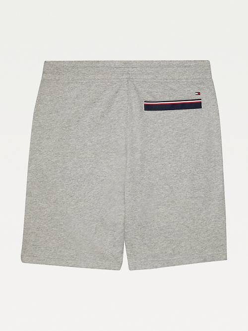 Tommy Hilfiger Adaptive Regular Fit Moški Kratke Hlače Siva | TH756SIO