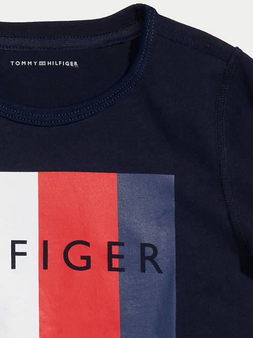 Tommy Hilfiger Adaptive Sensory Flag Logo Fantje Majice Modra | TH625DFO