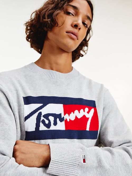 Tommy Hilfiger Crew Neck Relaxed Fit Jumper Moški Puloverji Siva | TH814LUN