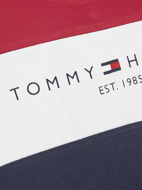 Tommy Hilfiger Essential Colour-Blocked Organic Cotton Fantje Majice Modra | TH914UAK