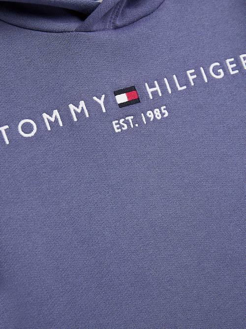 Tommy Hilfiger Essential Logo Dekleta Pulover s kapuco Modra | TH492PLG