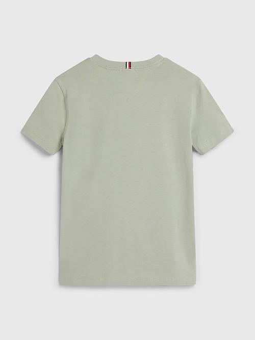 Tommy Hilfiger Essential Organic Cotton Fantje Majice Siva | TH723DEN