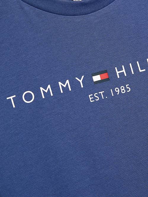 Tommy Hilfiger Essential Organic Cotton Fantje Majice Modra | TH869MPN