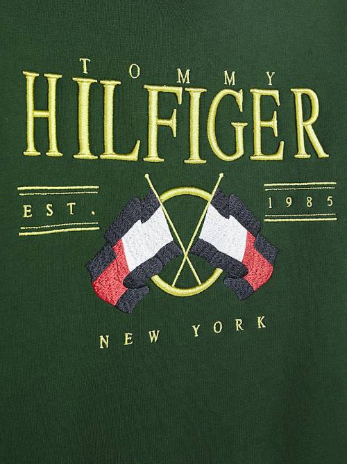 Tommy Hilfiger Exclusive Flag Logo Moški Pulover Zelena | TH214GZD