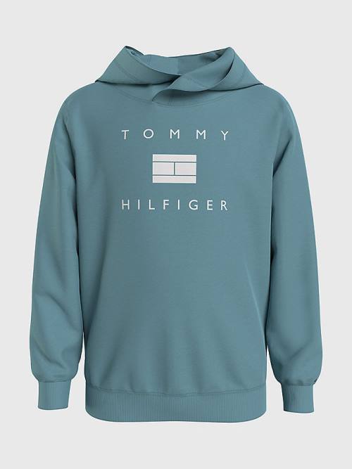 Tommy Hilfiger Flag Logo Fantje Pulover s kapuco Modra | TH360BTR