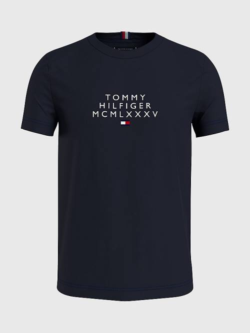 Tommy Hilfiger Graphic Logo Moški Majice Modra | TH410JNA