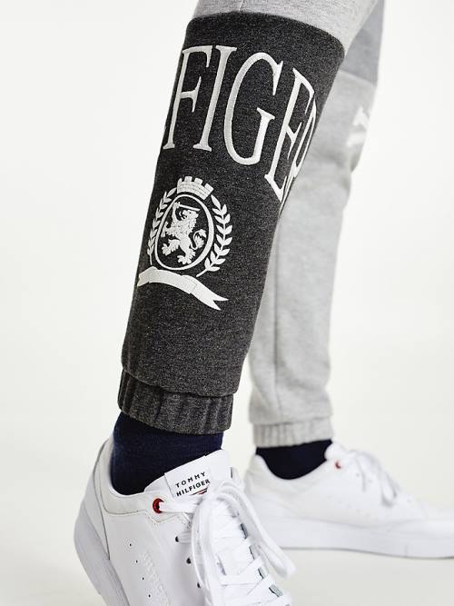 Tommy Hilfiger Icons Colour-Blocked Crest Joggers Moški Hlače Siva | TH934SQE