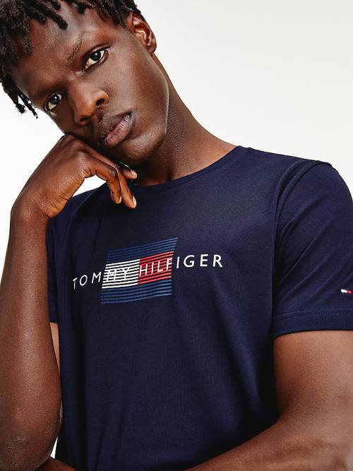 Tommy Hilfiger Lines Logo Organic Cotton Moški Majice Modra | TH430KJD