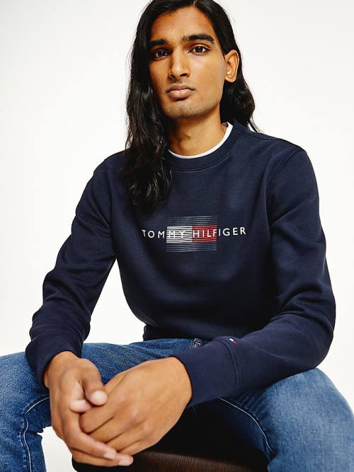 Tommy Hilfiger Logo Crew Neck Moški Pulover Modra | TH469ANH