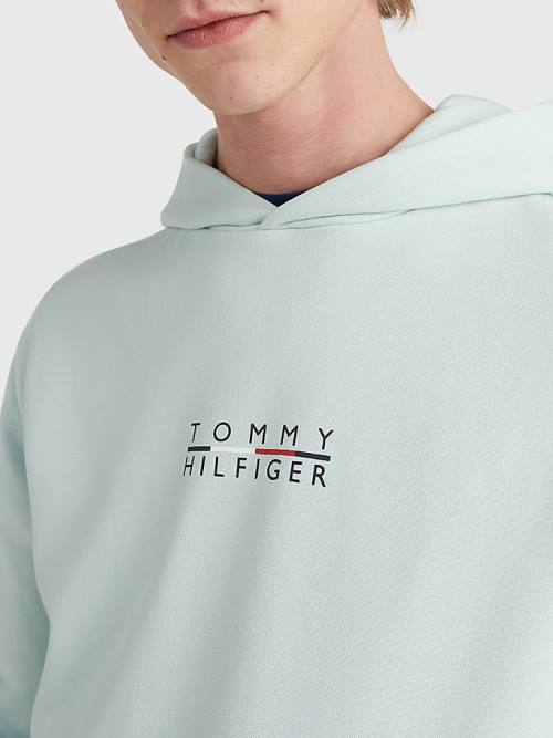 Tommy Hilfiger Logo Embroidery Moški Pulover s kapuco Zelena | TH613HYI