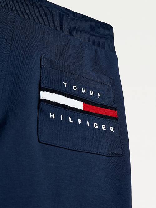 Tommy Hilfiger Logo Embroidery Organic Cotton Joggers Fantje Hlače Modra | TH651FCE