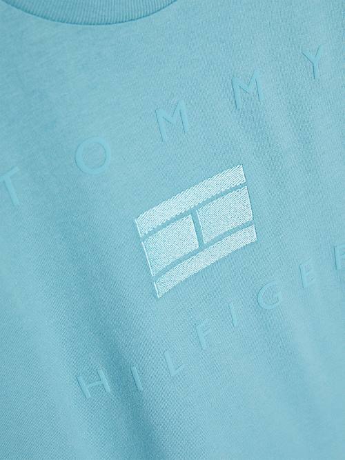 Tommy Hilfiger Logo Fantje Majice Modra | TH463RFB