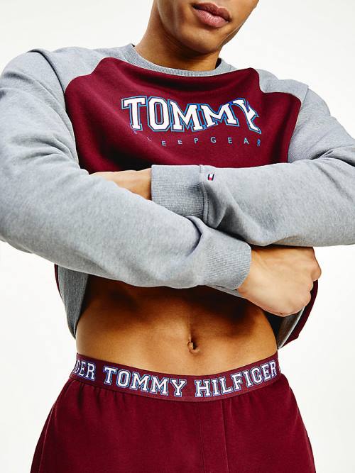 Tommy Hilfiger Logo Waistband Lounge Joggers Moški Pižama Vijolična | TH845MOC