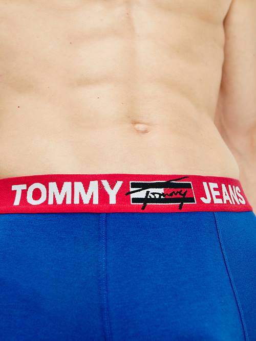 Tommy Hilfiger Logo Waistband Trunks Moški Spodnje Perilo Modra | TH785UPS