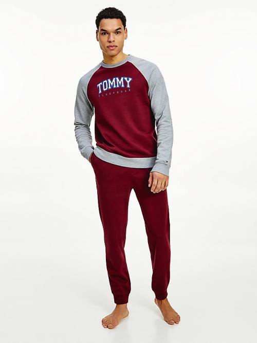 Tommy Hilfiger Lounge Colour-Blocked Organic Cotton Sweatshirt Moški Pižama Vijolična | TH387BMI