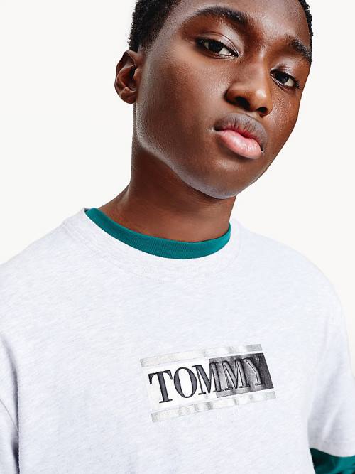 Tommy Hilfiger Metallic Logo Organic Cotton Classic Moški Majice Siva | TH312TJY