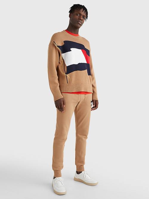 Tommy Hilfiger Motion Flag Crew Neck Jumper Moški Puloverji Rjav | TH530ILQ