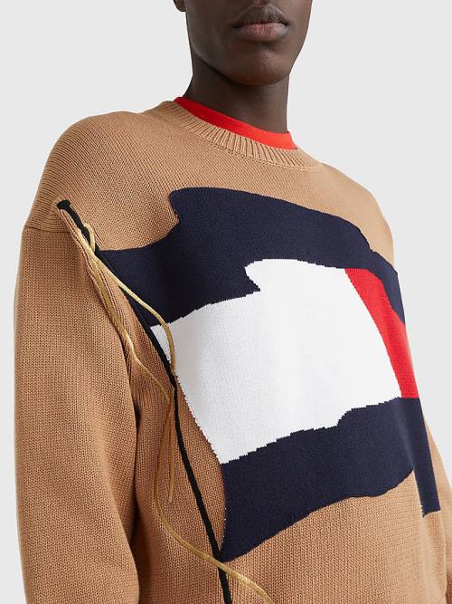 Tommy Hilfiger Motion Flag Crew Neck Jumper Moški Puloverji Rjav | TH530ILQ