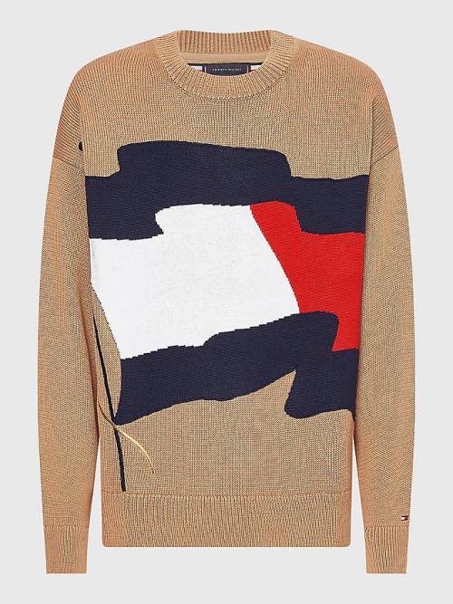 Tommy Hilfiger Motion Flag Crew Neck Jumper Moški Puloverji Rjav | TH530ILQ