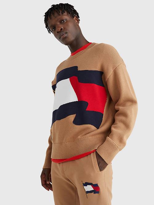 Tommy Hilfiger Motion Flag Crew Neck Jumper Moški Puloverji Rjav | TH530ILQ