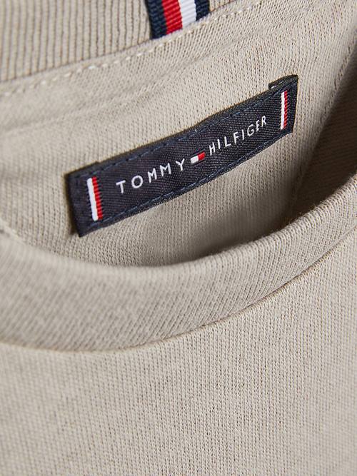 Tommy Hilfiger Natural Earth Dye Fantje Majice Siva | TH293ZSN