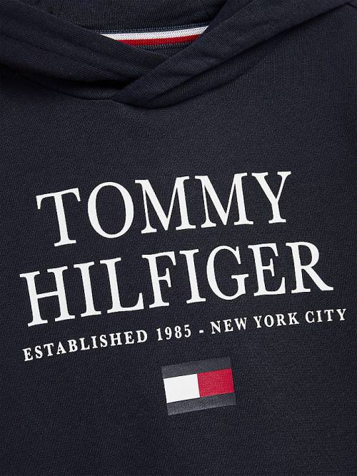 Tommy Hilfiger Organic Cotton Logo Fantje Pulover s kapuco Modra | TH751BFU