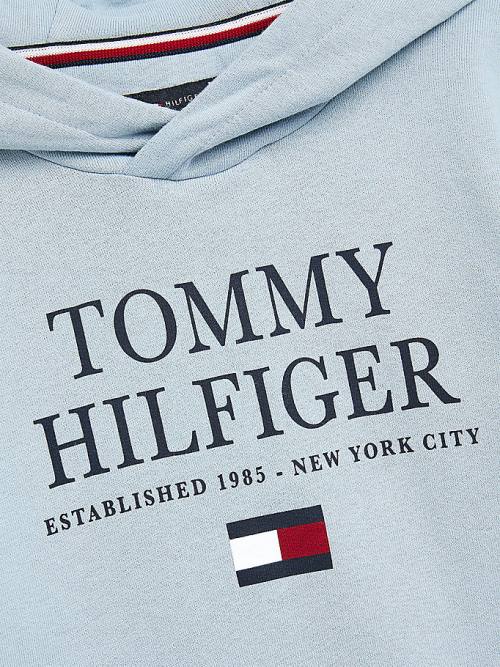 Tommy Hilfiger Organic Cotton Logo Fantje Pulover s kapuco Modra | TH807MLJ