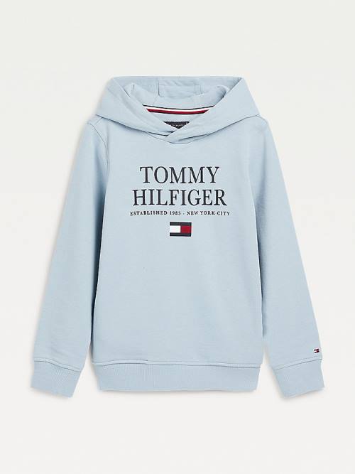 Tommy Hilfiger Organic Cotton Logo Fantje Pulover s kapuco Modra | TH807MLJ