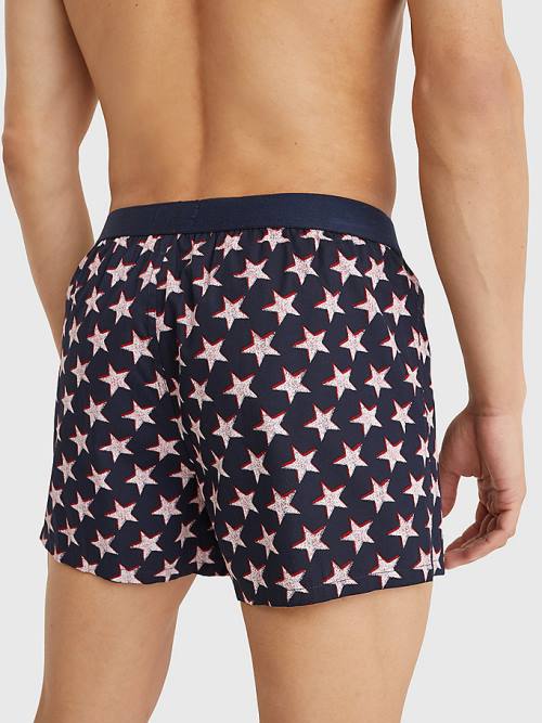 Tommy Hilfiger Original Logo Waistband Print Boxer Shorts Moški Spodnje Perilo Bež | TH164DYO