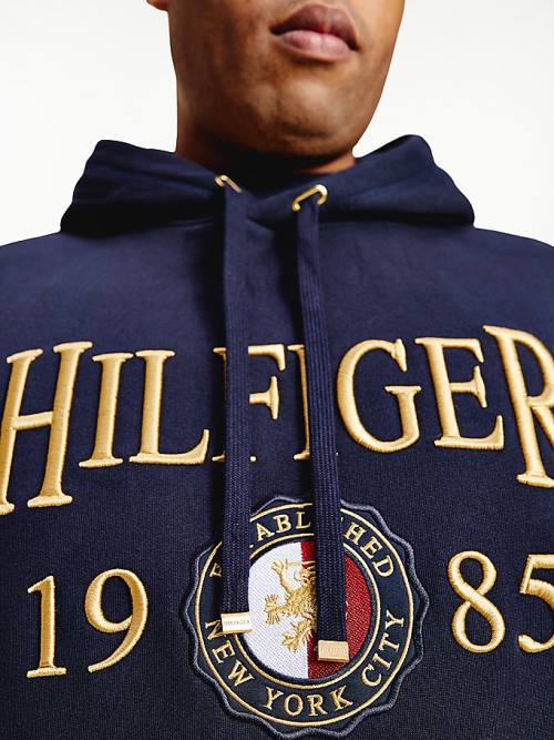 Tommy Hilfiger Plus Icons Logo Embroidery Relaxed Fit Moški Pulover s kapuco Modra | TH519INA