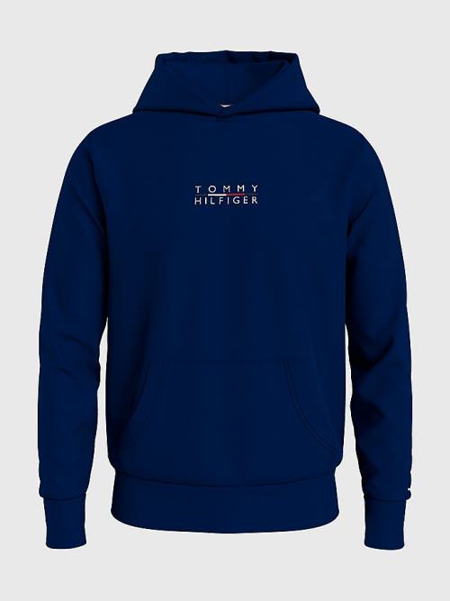 Tommy Hilfiger Plus Logo Embroidery Moški Pulover s kapuco Modra | TH469JXD