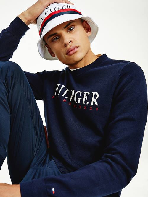 Tommy Hilfiger Supima Cotton Graphic Crew Neck Jumper Moški Puloverji Modra | TH127VNE