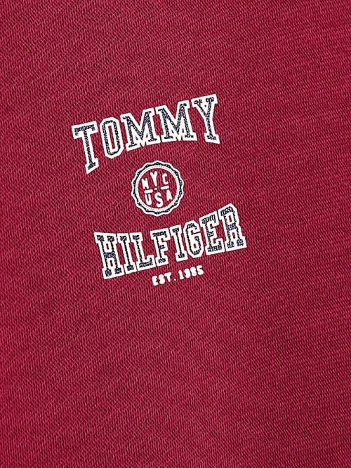 Tommy Hilfiger Varsity Logo Slouchy Dekleta Pulover s kapuco Rdeča | TH297CXL