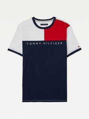 Tommy Hilfiger Adaptive Flag Pure Cotton Moški Majice Multi | TH163UZD