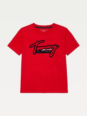 Tommy Hilfiger Adaptive Pure Cotton Logo Fantje Majice Rdeča | TH927EZH