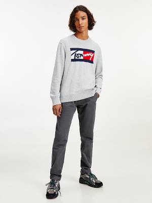 Tommy Hilfiger Crew Neck Relaxed Fit Jumper Moški Puloverji Siva | TH814LUN