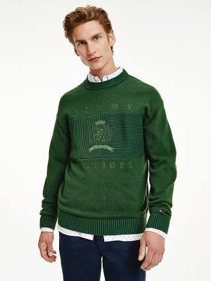 Tommy Hilfiger Icons Oversized Crest Flag Jumper Moški Puloverji Zelena | TH740WKF