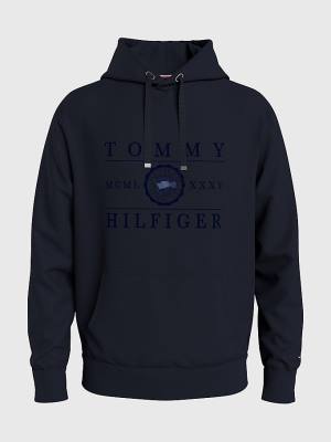 Tommy Hilfiger Motion Flag Logo Moški Pulover s kapuco Modra | TH415QXW