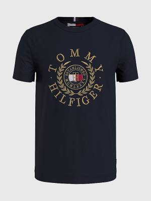 Tommy Hilfiger Plus Icons Embroidery Moški Majice Modra | TH204GEB