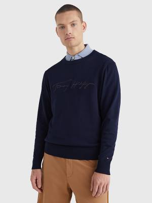 Tommy Hilfiger Signature Logo Embroidery Jumper Moški Puloverji Modra | TH241KRE